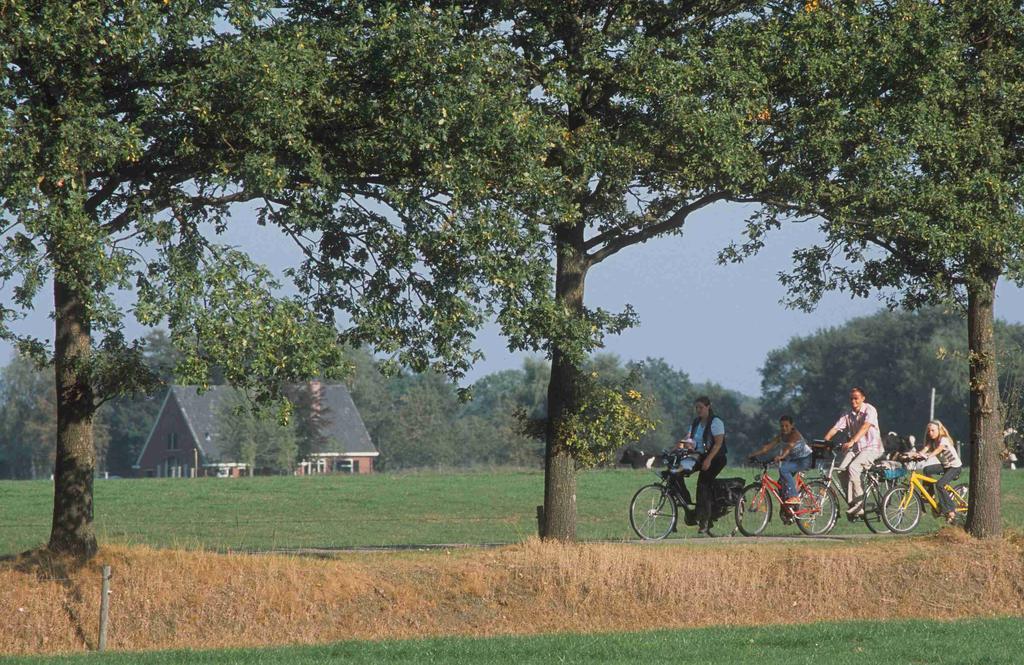 Camping Het Wieskamp Henxel Exterior photo